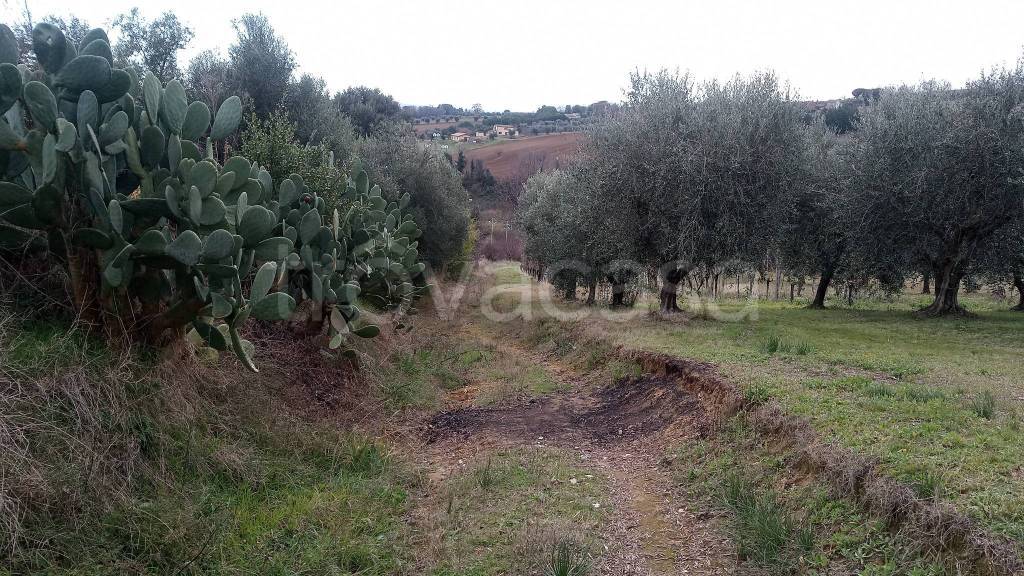 immagine annuncio 5 di 9
