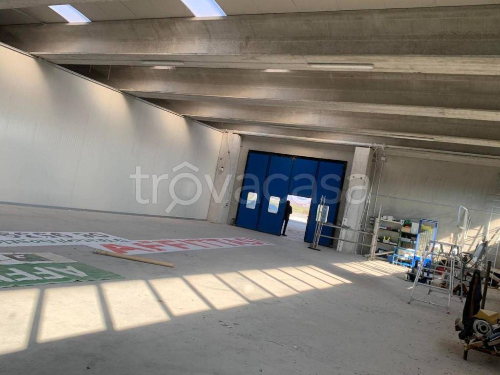 immagine annuncio 9 di 14