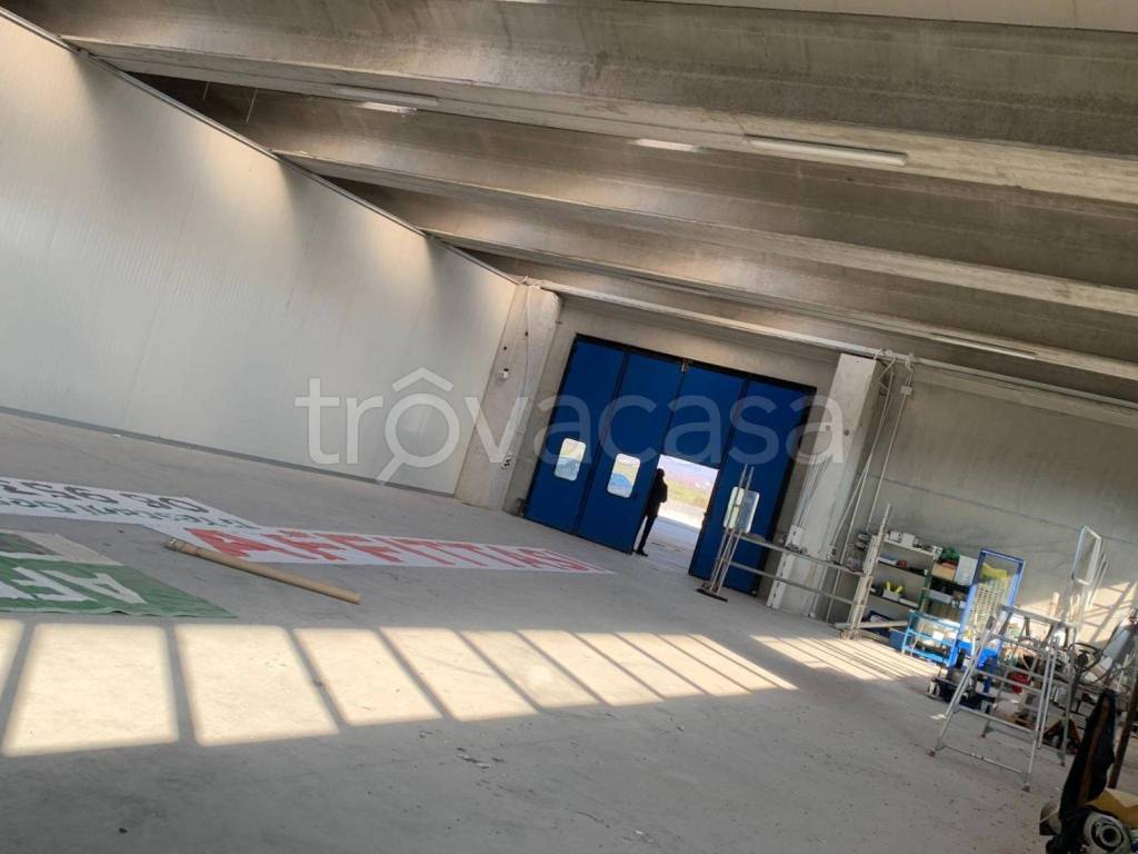 immagine annuncio 13 di 14