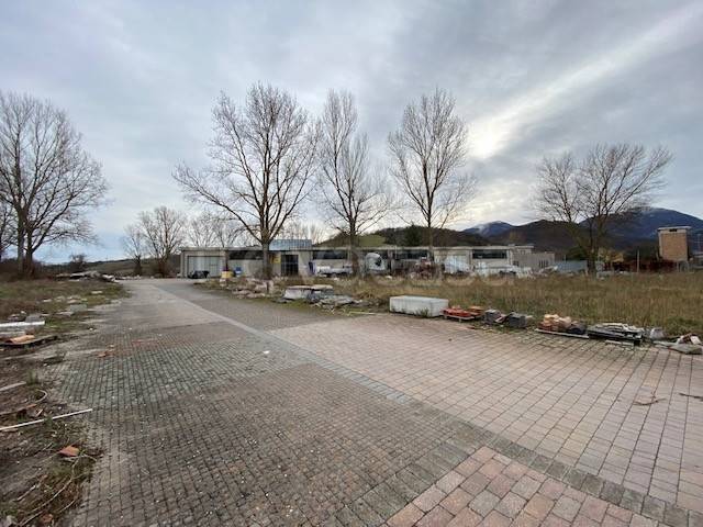 immagine annuncio 9 di 12