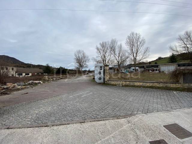 immagine annuncio 10 di 12