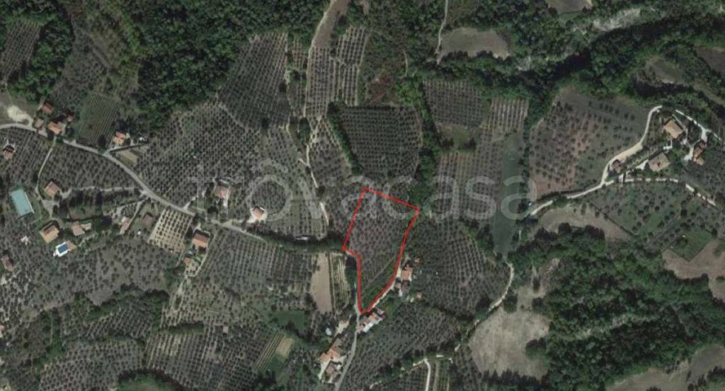 Terreno Agricolo in vendita a Collazzone località Canalicchio