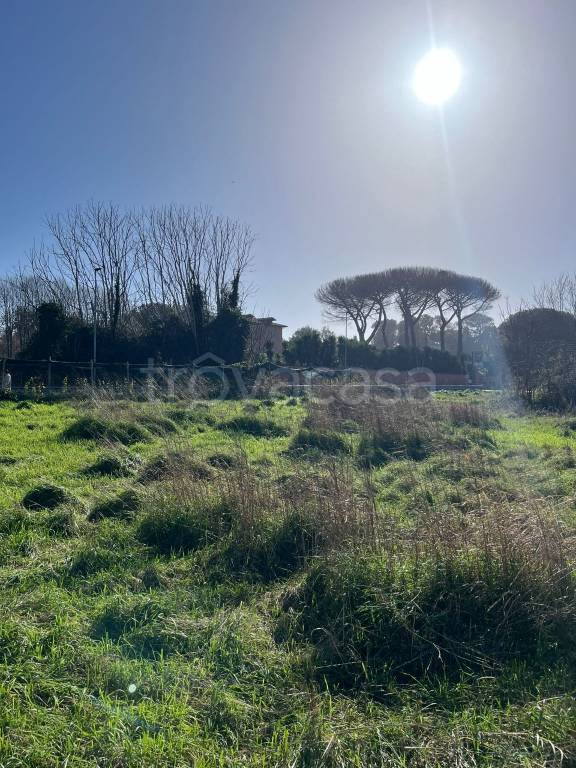Terreno Agricolo in affitto a Giugliano in Campania via Madonna del Pantano