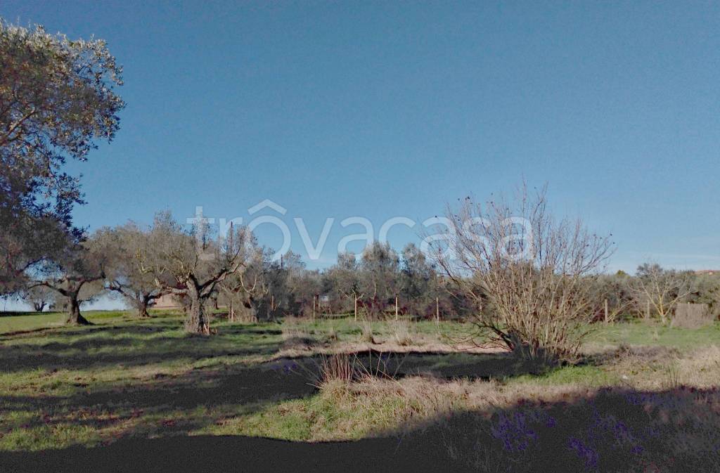 immagine annuncio 4 di 7