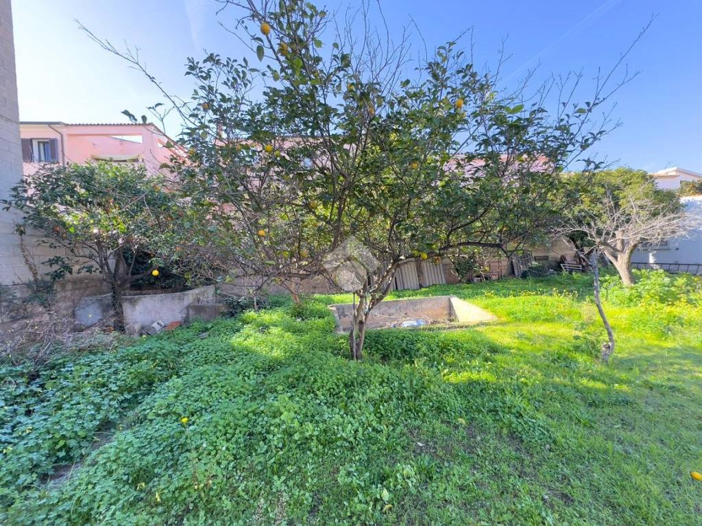 immagine annuncio 6 di 12