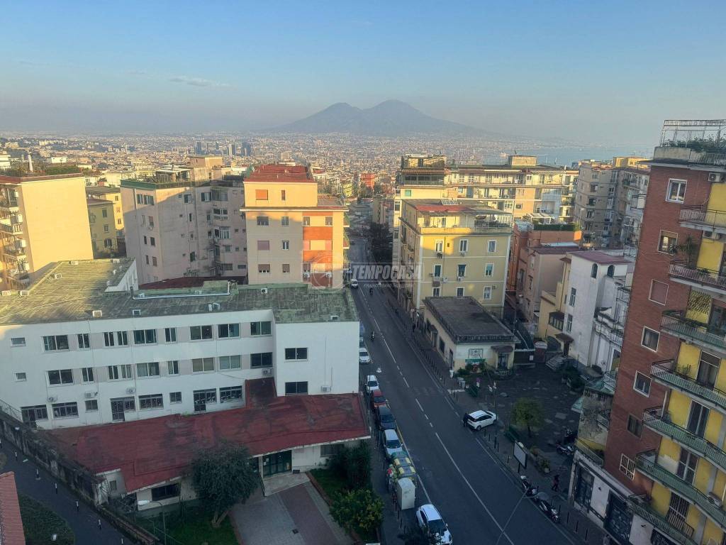 immagine annuncio 11 di 14