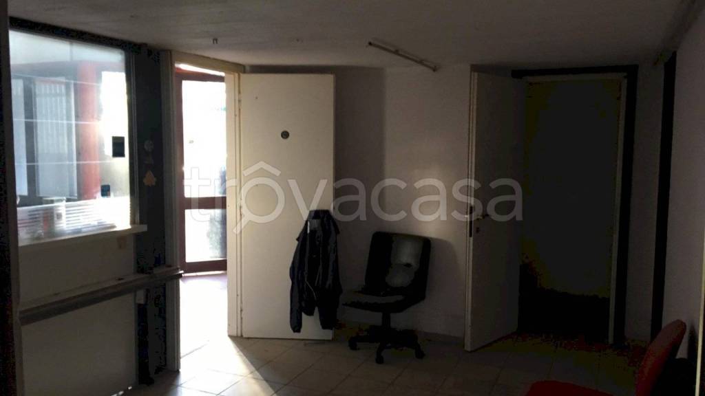 immagine annuncio 12 di 14