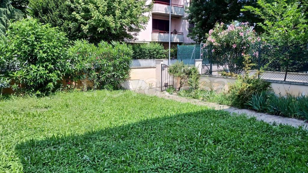 immagine annuncio 1 di 8