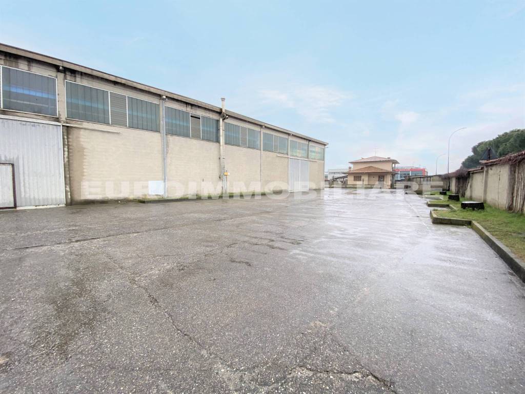 immagine annuncio 9 di 10