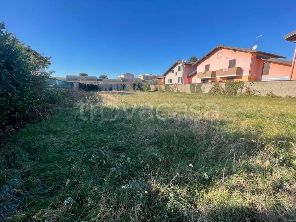 immagine annuncio 11 di 15