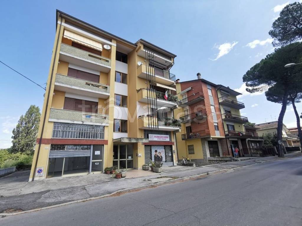 immagine annuncio 2 di 6