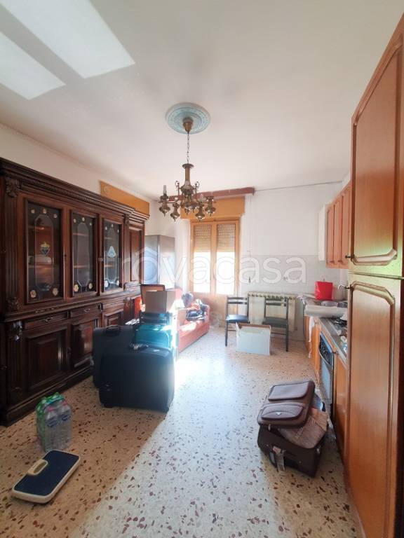 immagine annuncio 7 di 14