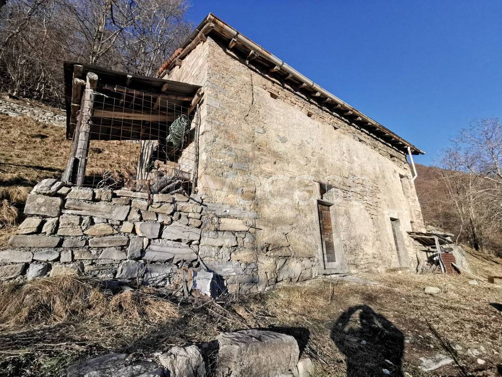 immagine annuncio 1 di 7