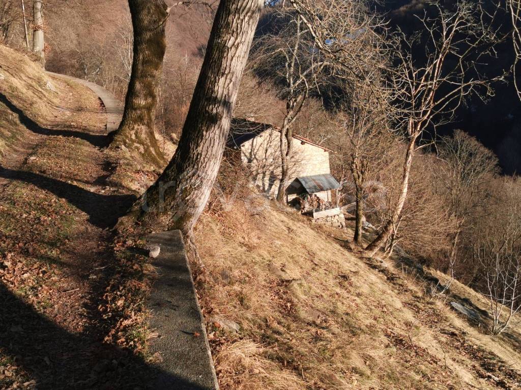 immagine annuncio 2 di 7