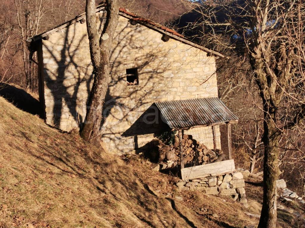 immagine annuncio 3 di 7