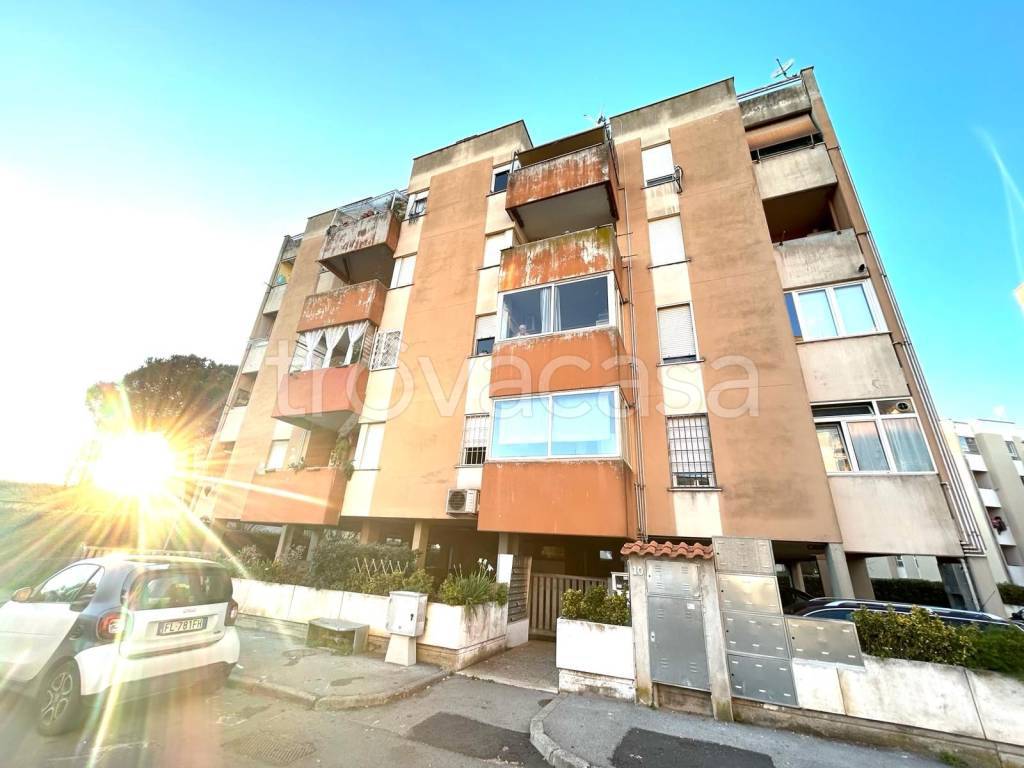immagine annuncio 10 di 15