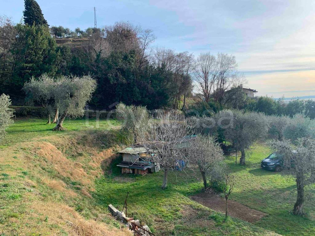 immagine annuncio 2 di 12