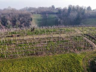 Terreno agricolo in vendita a san colombano al lambro via serafina