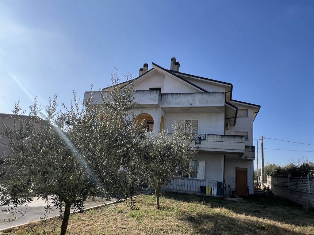 immagine annuncio 3 di 12