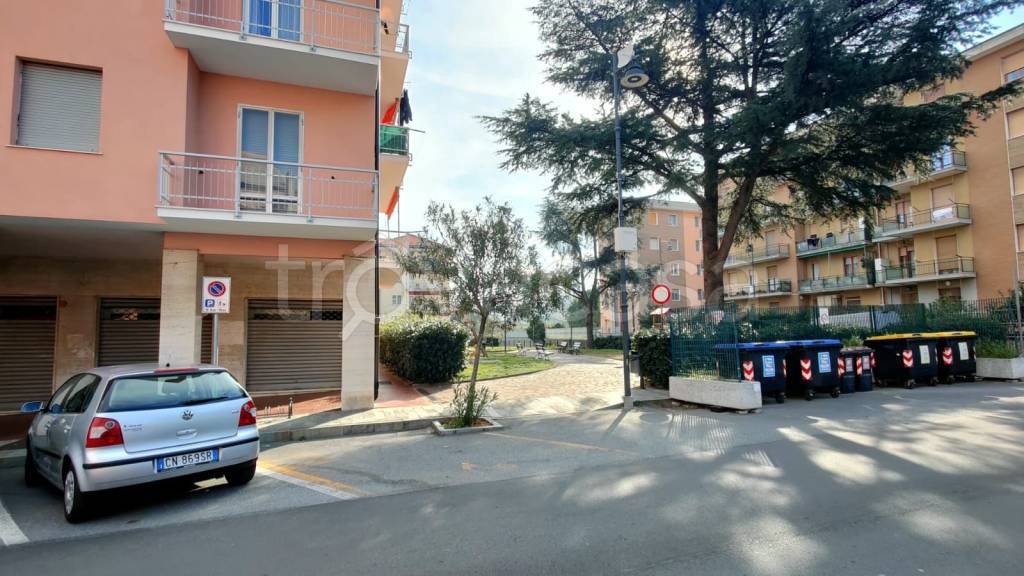 immagine annuncio 11 di 14