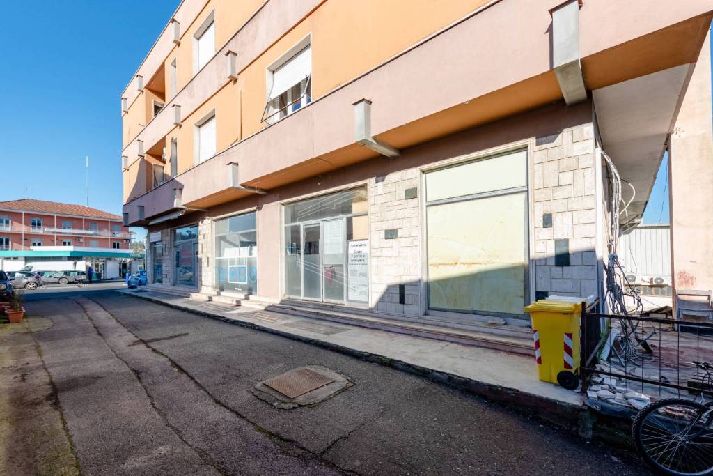 immagine annuncio 9 di 15