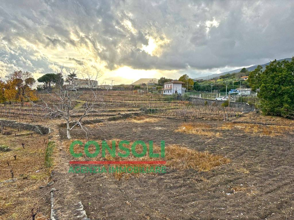 Terreno Agricolo in vendita a Zafferana Etnea via Vecchia Guglielmo Marconi