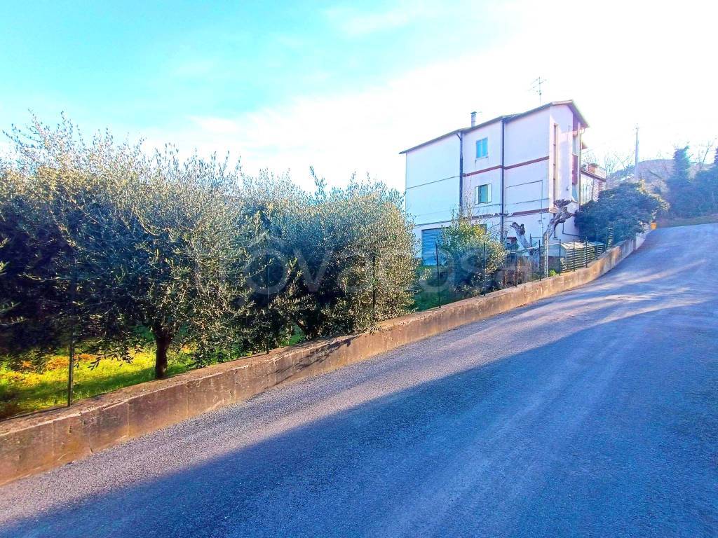 immagine annuncio 7 di 8
