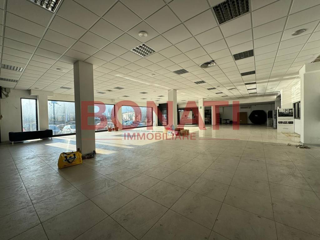 immagine annuncio 3 di 14
