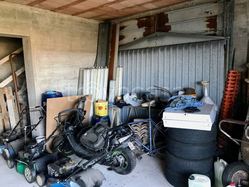 immagine annuncio 11 di 13