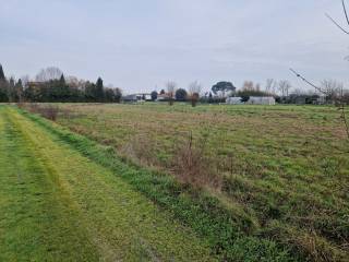 Terreno agricolo in vendita a castelfranco di sotto via quarterona