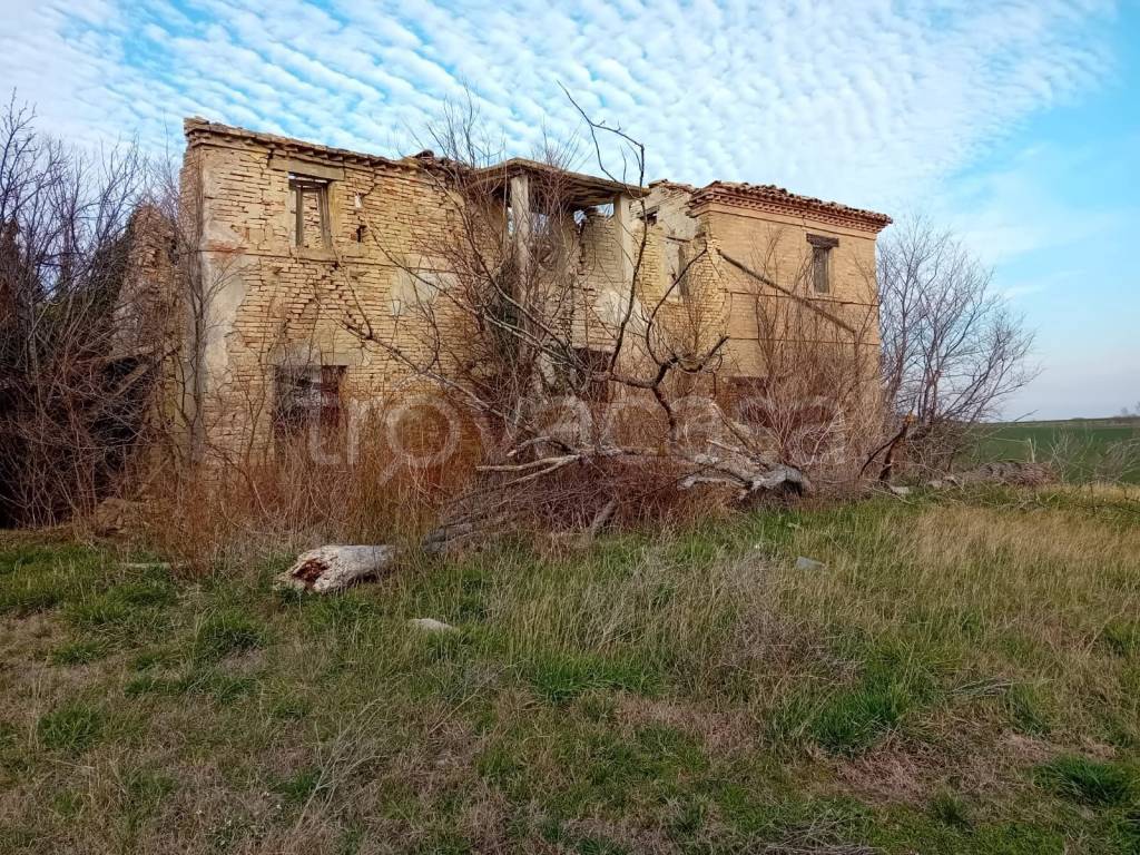 immagine annuncio 2 di 6