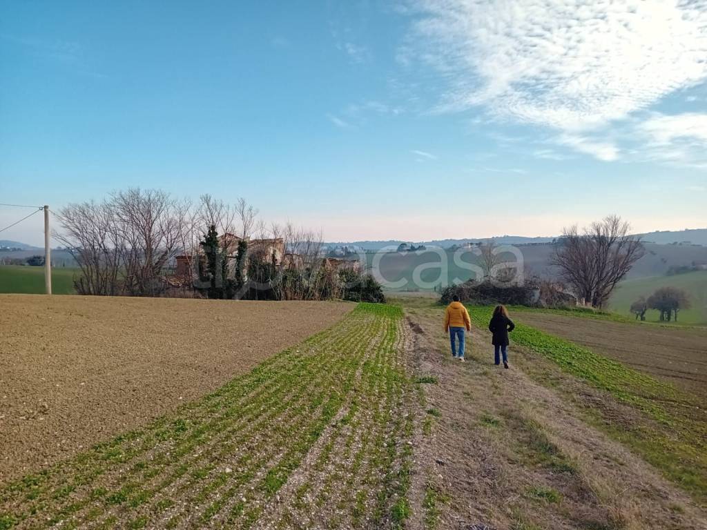 immagine annuncio 4 di 6