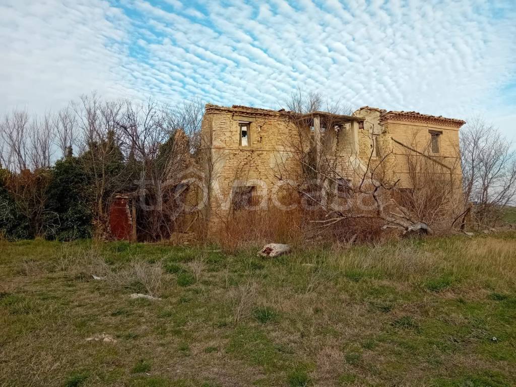 immagine annuncio 5 di 6