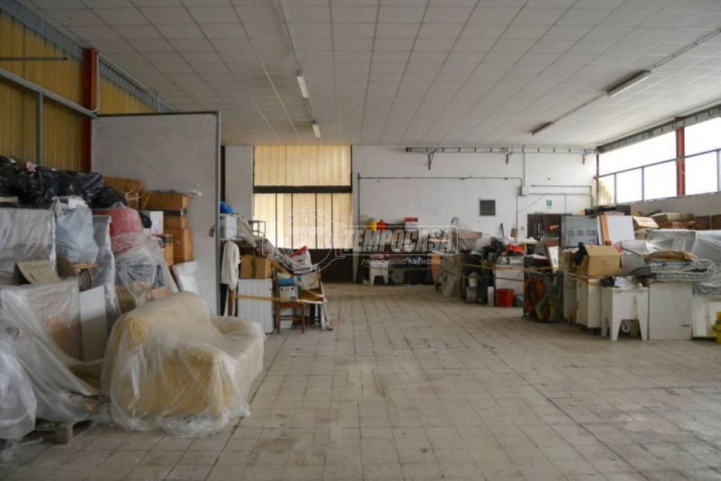 immagine annuncio 10 di 15