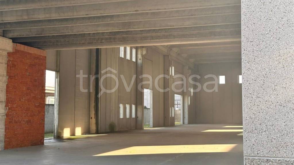 immagine annuncio 4 di 9