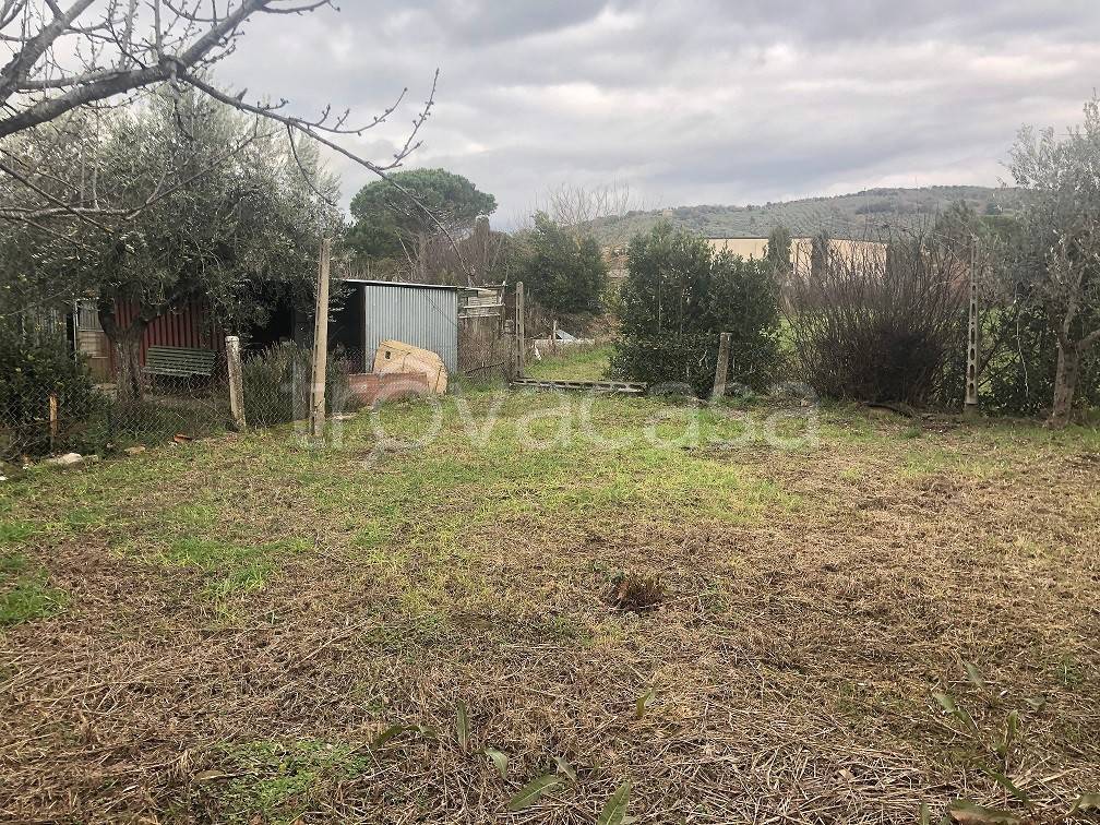 immagine annuncio 5 di 6