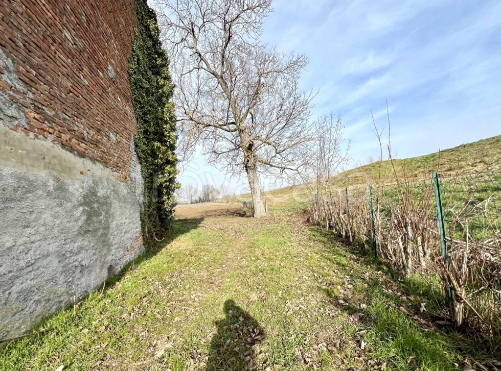 immagine annuncio 6 di 11