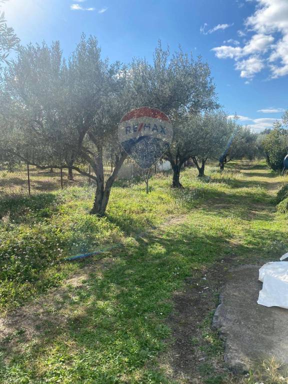 Terreno Agricolo in vendita a Belpasso contrada Acqua Rossa Belpasso, 75