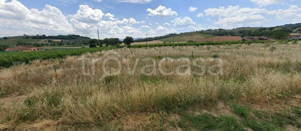 Terreno Agricolo in vendita a Montefalco localita Turri s.n.c