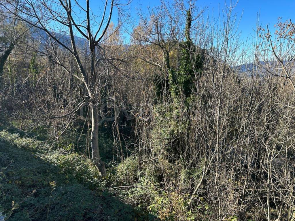 immagine annuncio 10 di 13