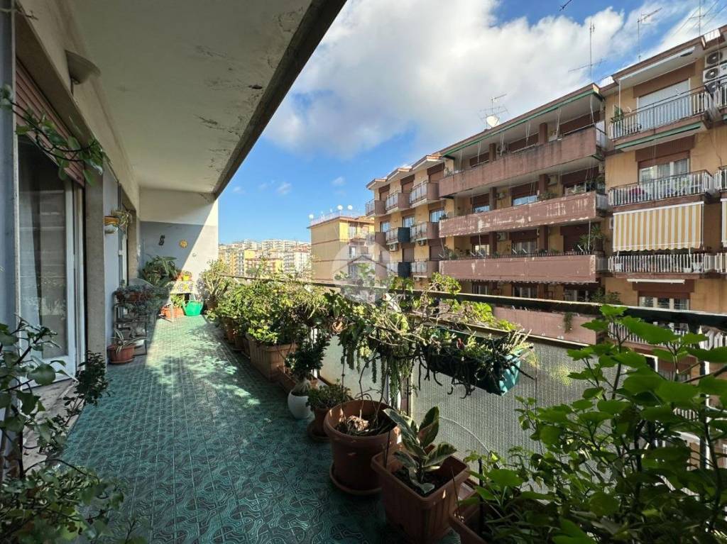 Appartamento in vendita a Napoli via Guido De Ruggiero, 4