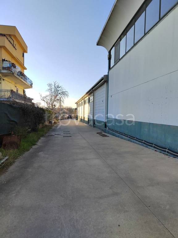 immagine annuncio 8 di 11