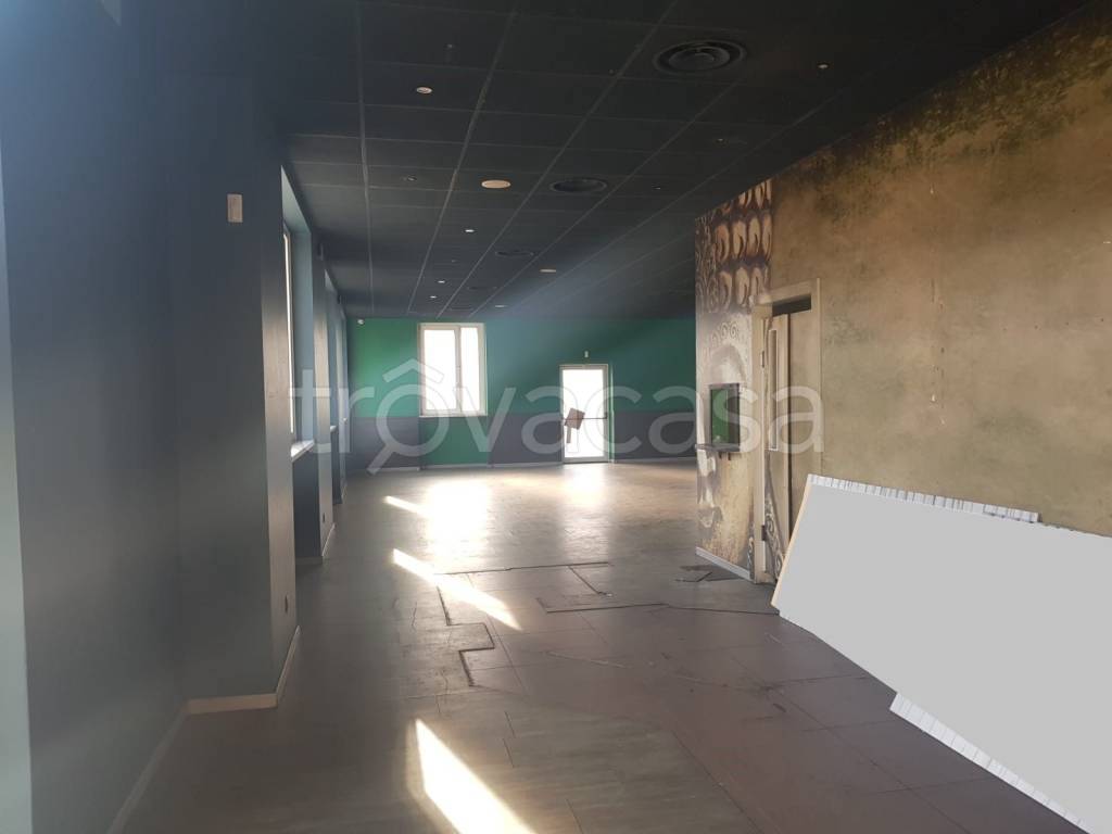 immagine annuncio 7 di 13