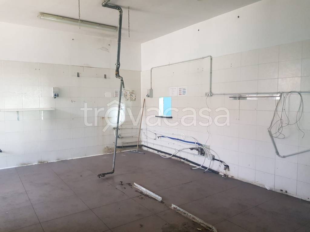 immagine annuncio 9 di 13