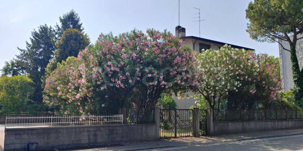 Villa Bifamiliare in in vendita da privato a Pordenone via Guglielmo Oberdan, 13A