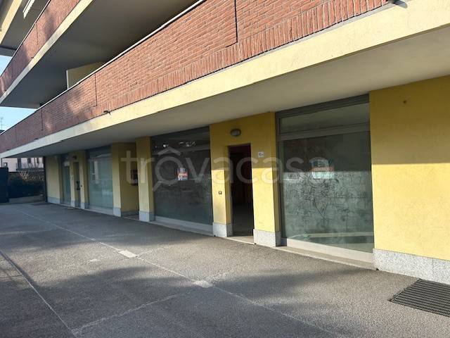 immagine annuncio 3 di 12