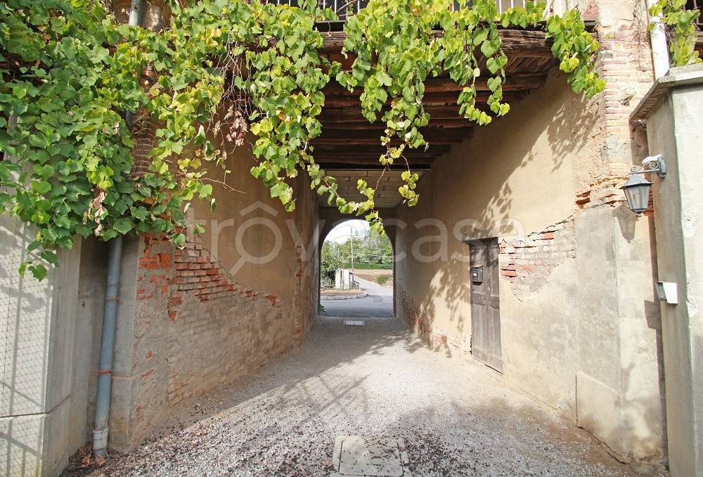 immagine annuncio 2 di 14