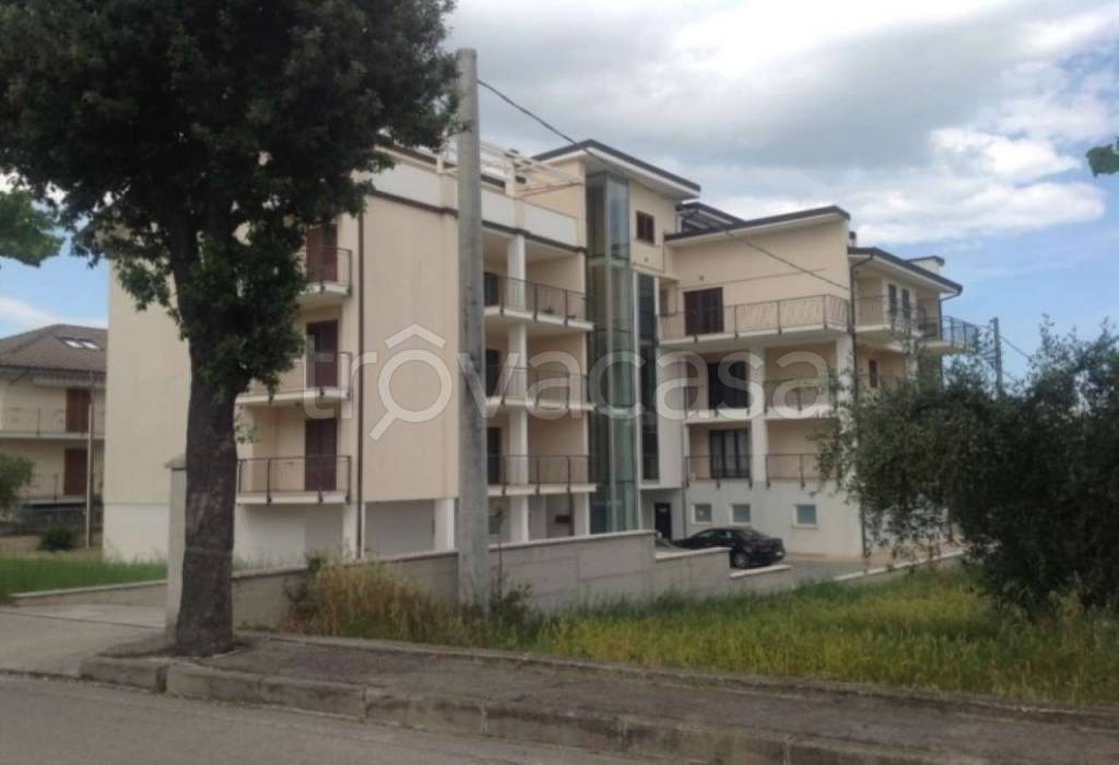 immagine annuncio 5 di 13