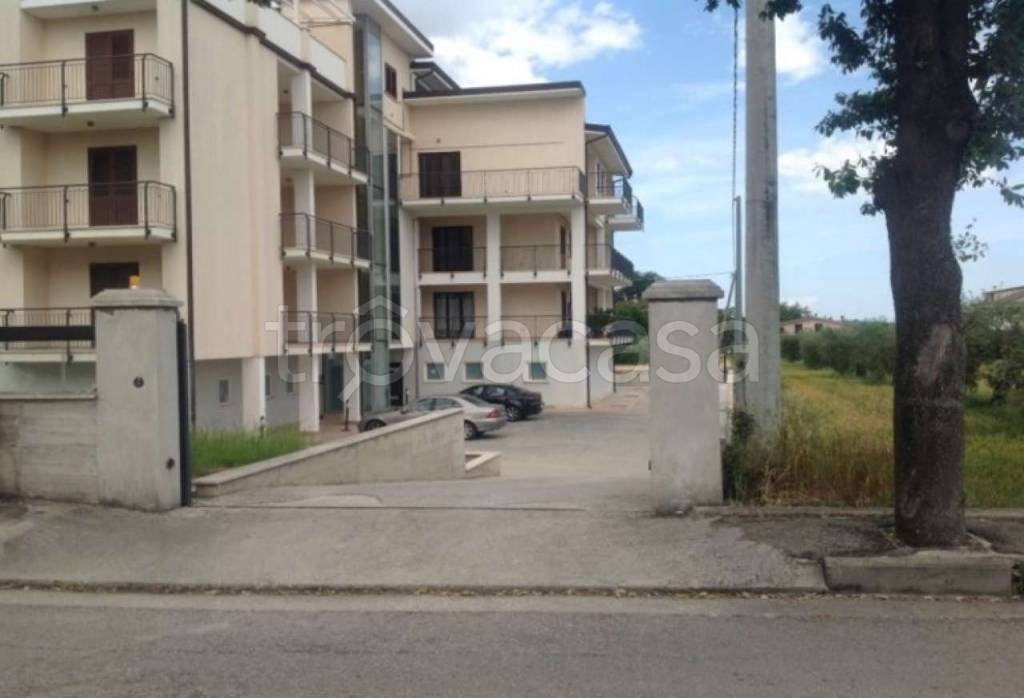 immagine annuncio 6 di 13