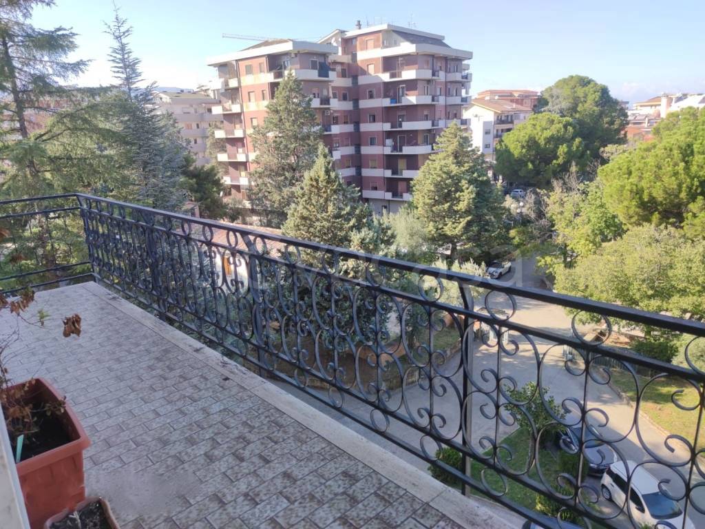 immagine annuncio 6 di 12